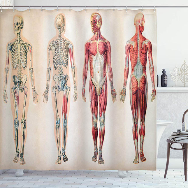 Dusjforheng med anatomisk illustrasjon design